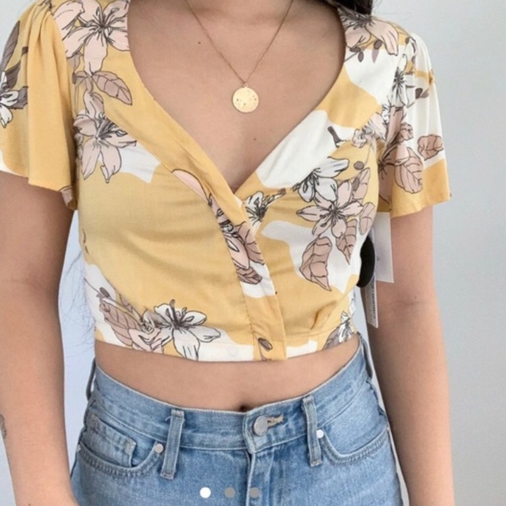 Amuse Society Crop Top